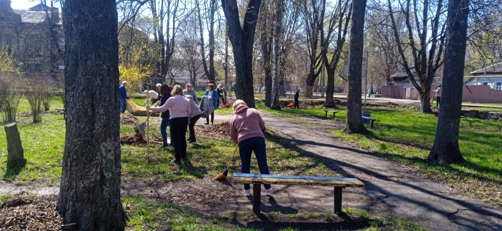 Тиждень толоки